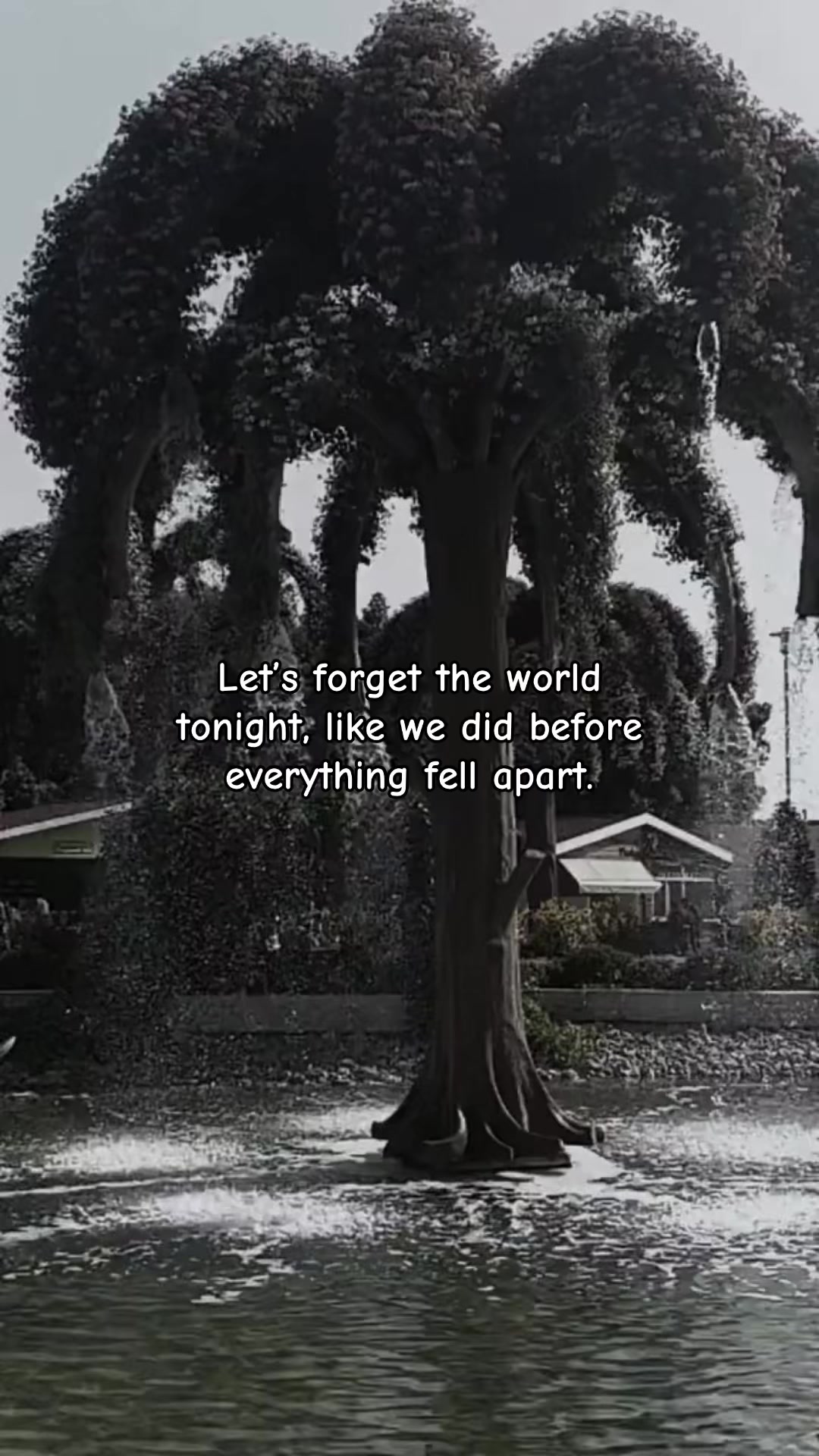 @DS Quotes🫀