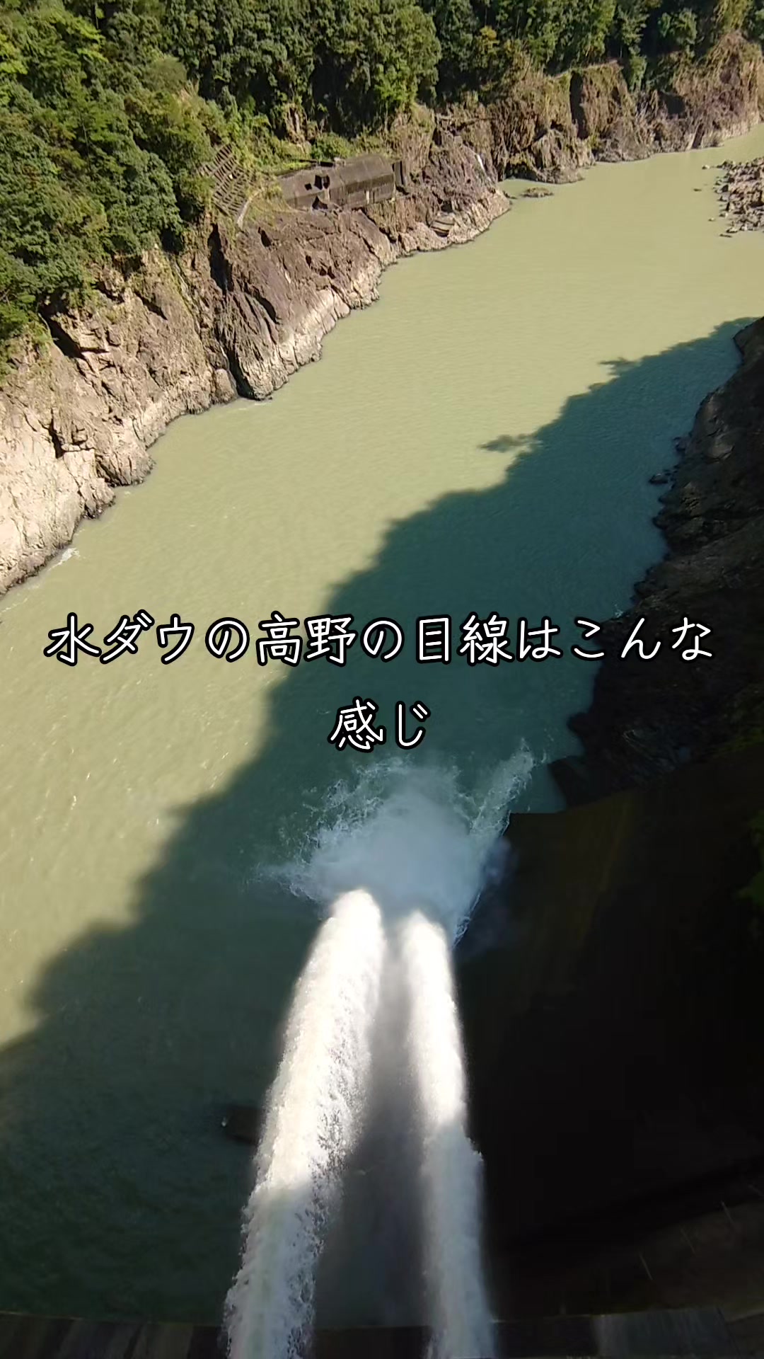 @バズらないと嫌〜