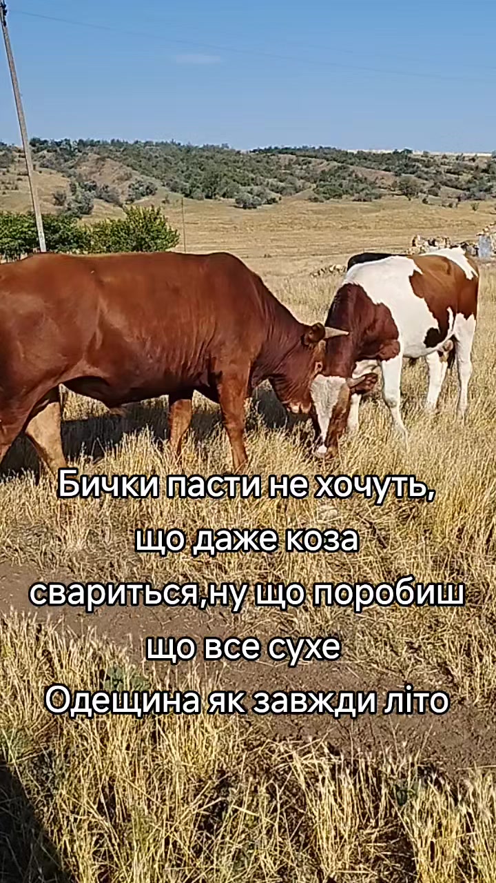 @Марченко Наталья
