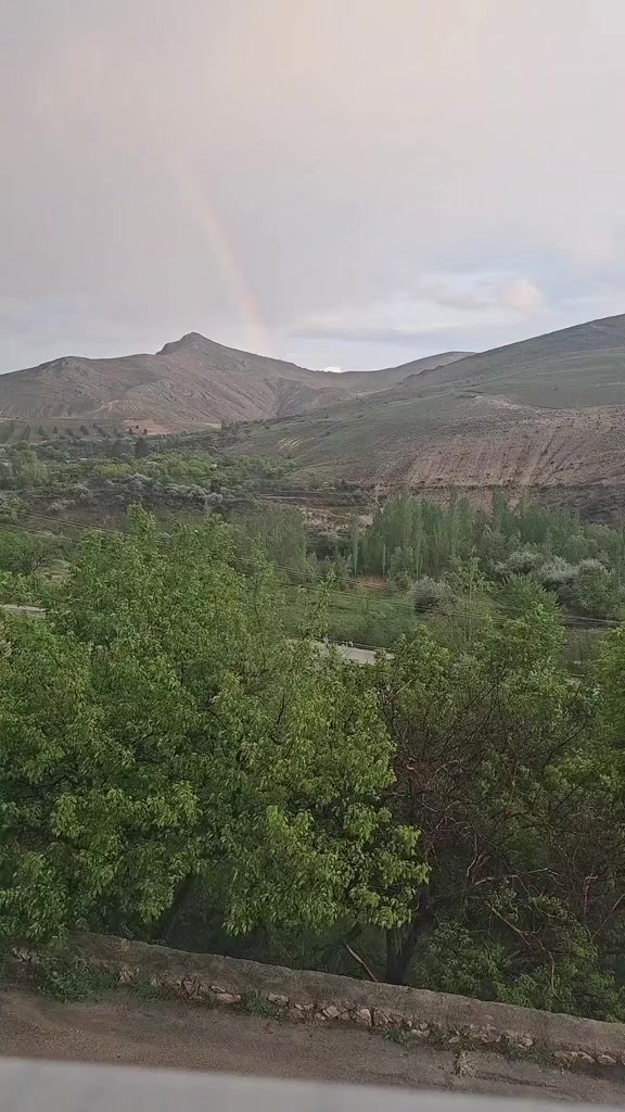 @hamit sırabaşı