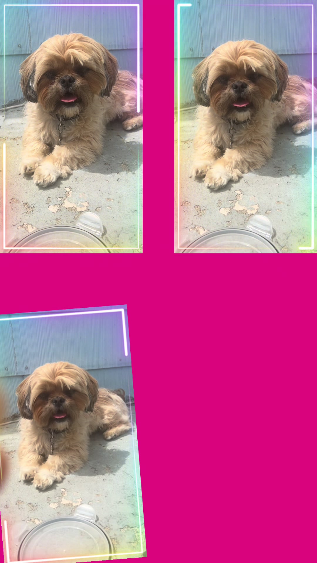 @Duuuviethedog