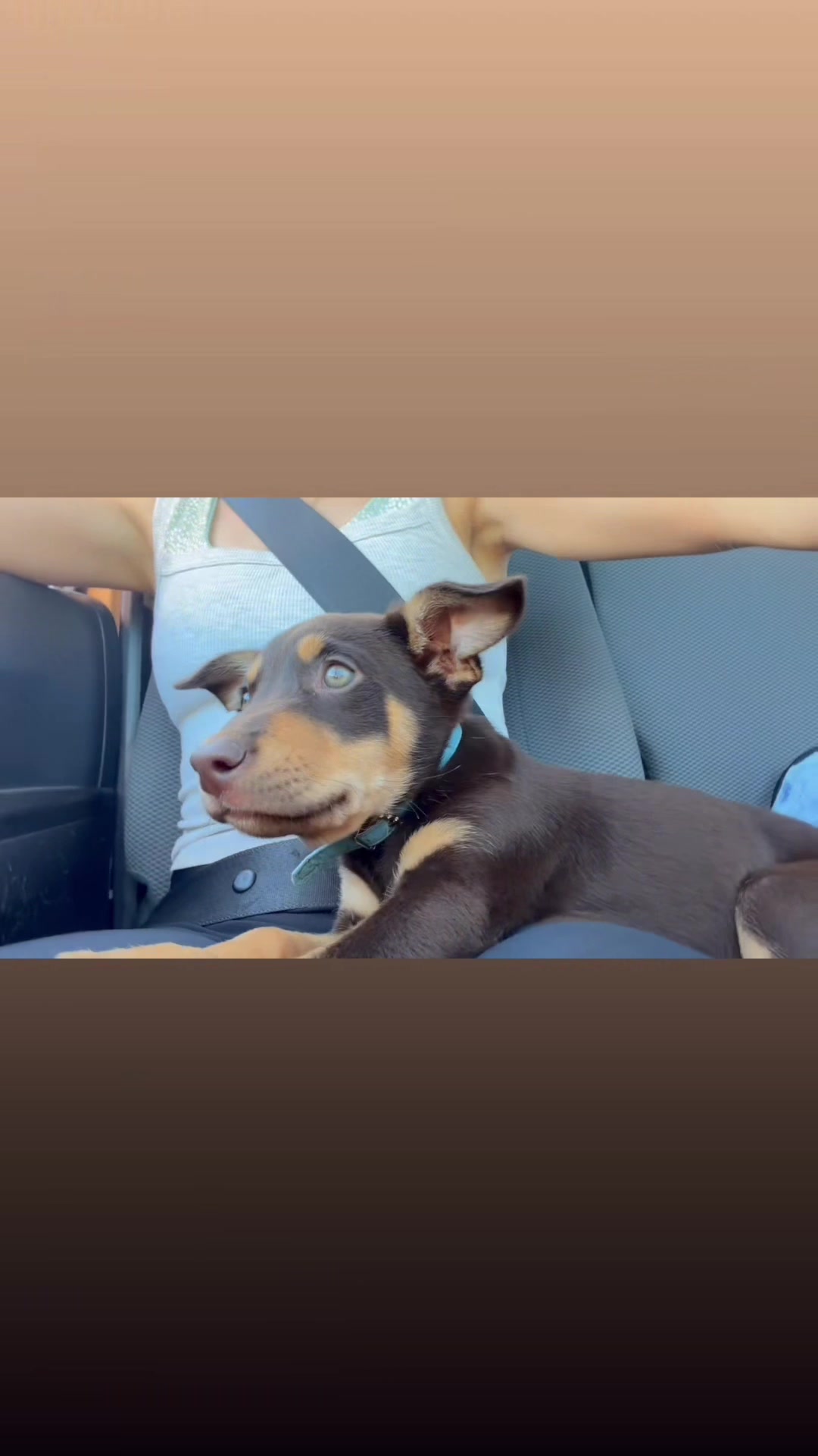 @georgia ⭐️