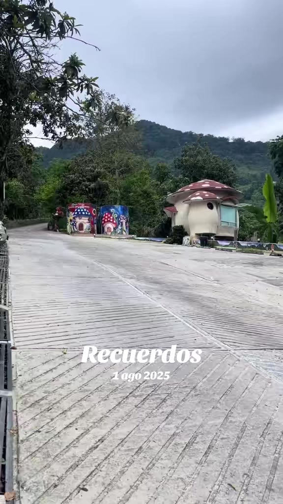 @Perla Flores