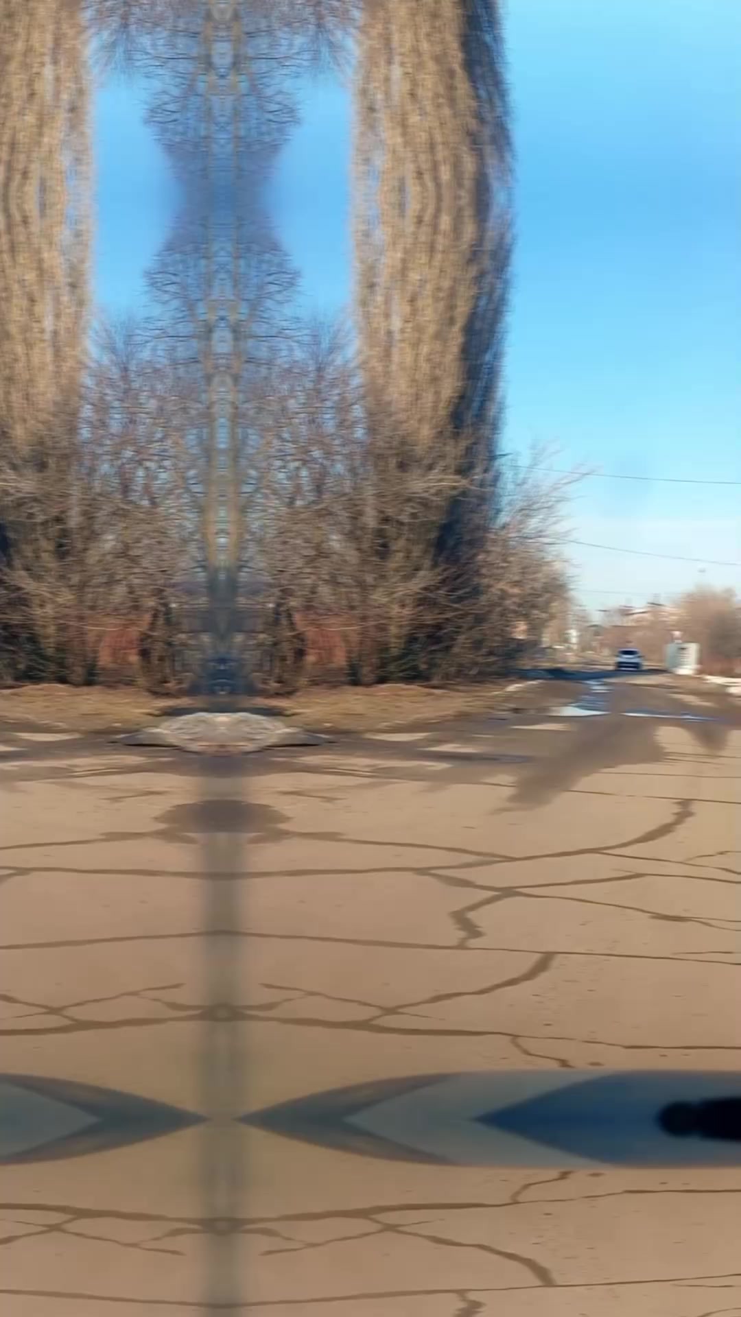@vladimir