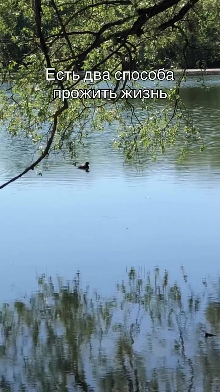 @Ирина