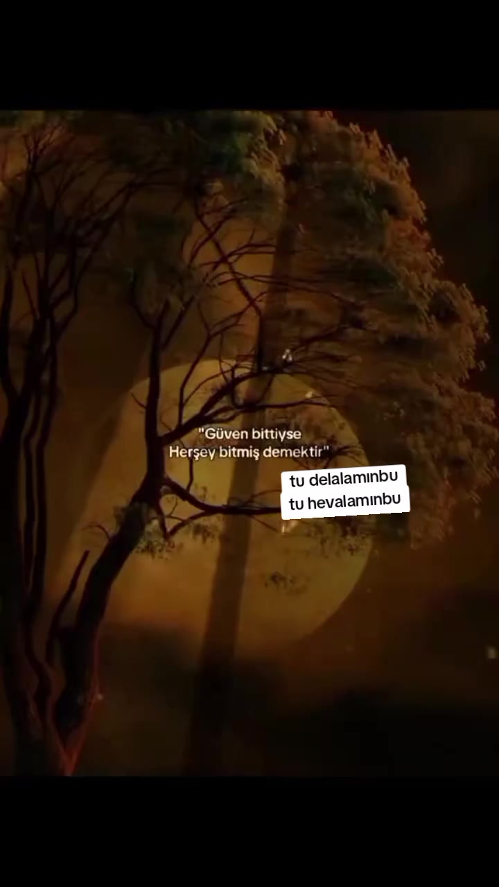 @mavig&ouml;l