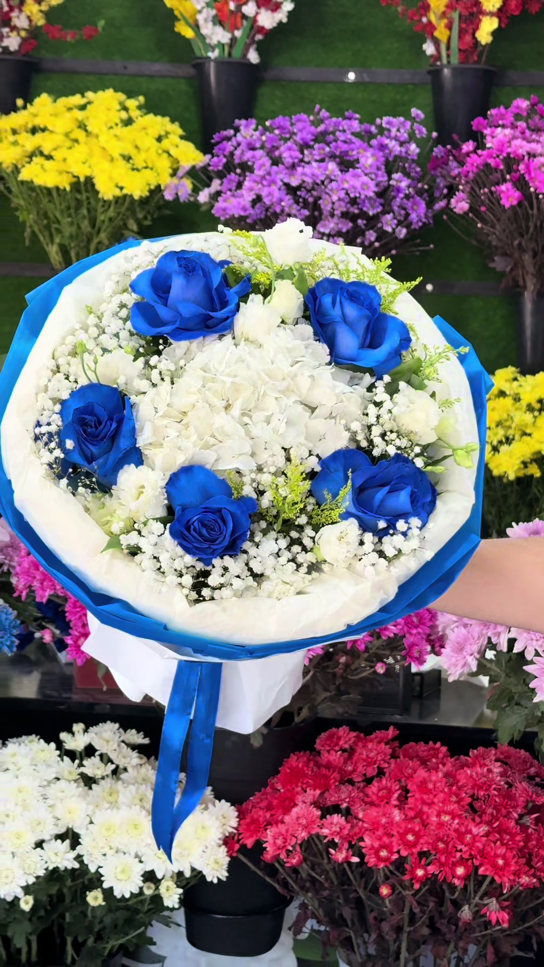 @Gülüm Flowers sumqayıt