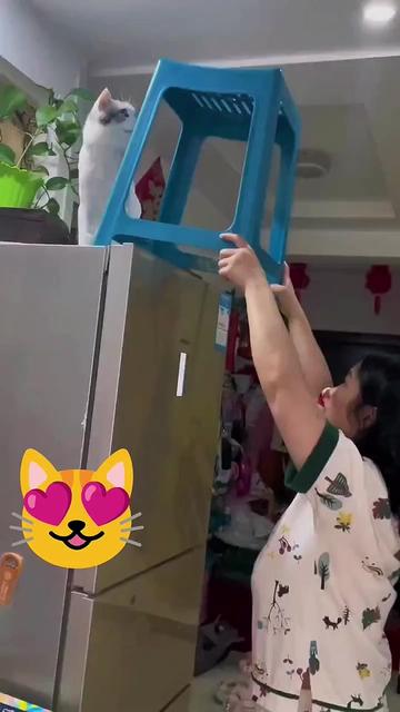 @@ไข่ตุ๋น