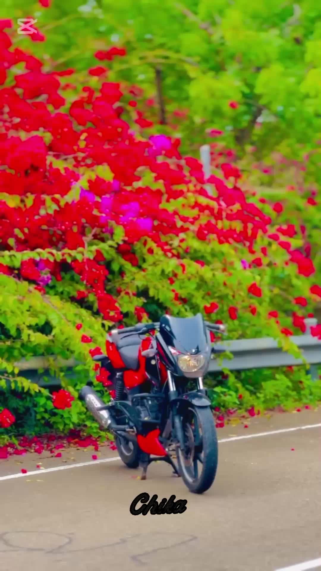 @Nล ๐ ๐ ๐ ๐ ๐ โ๐ฅคBs7
