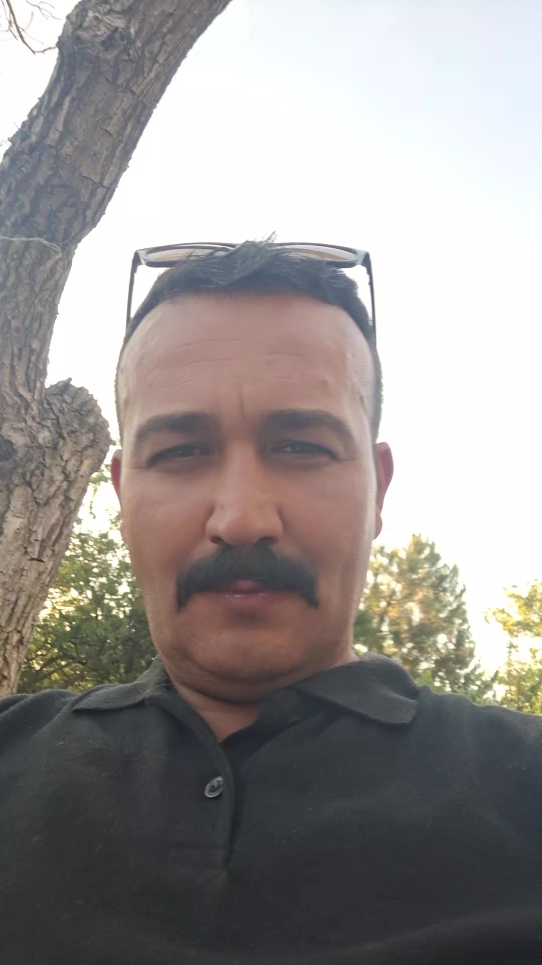 @Serkan Alp38