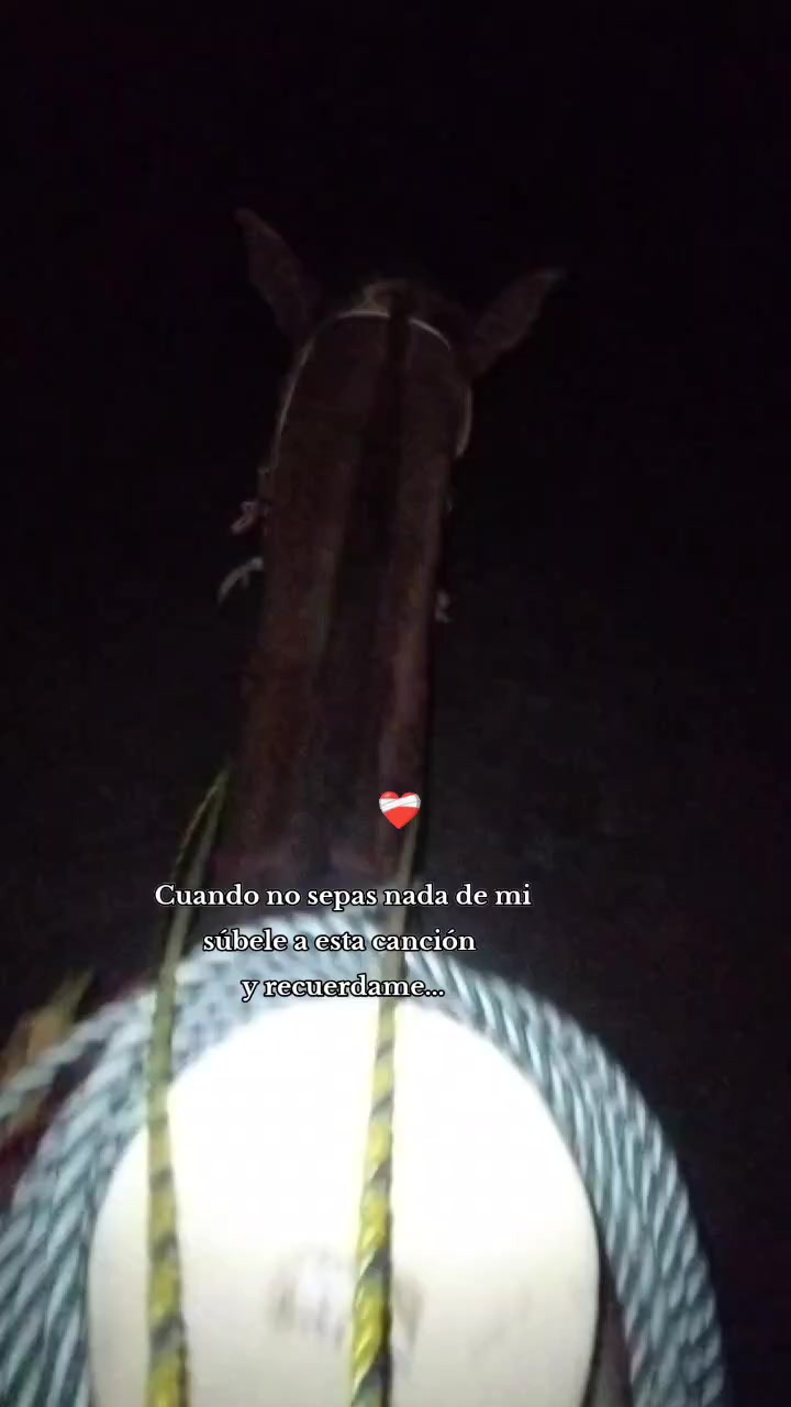 @Herrera 55333