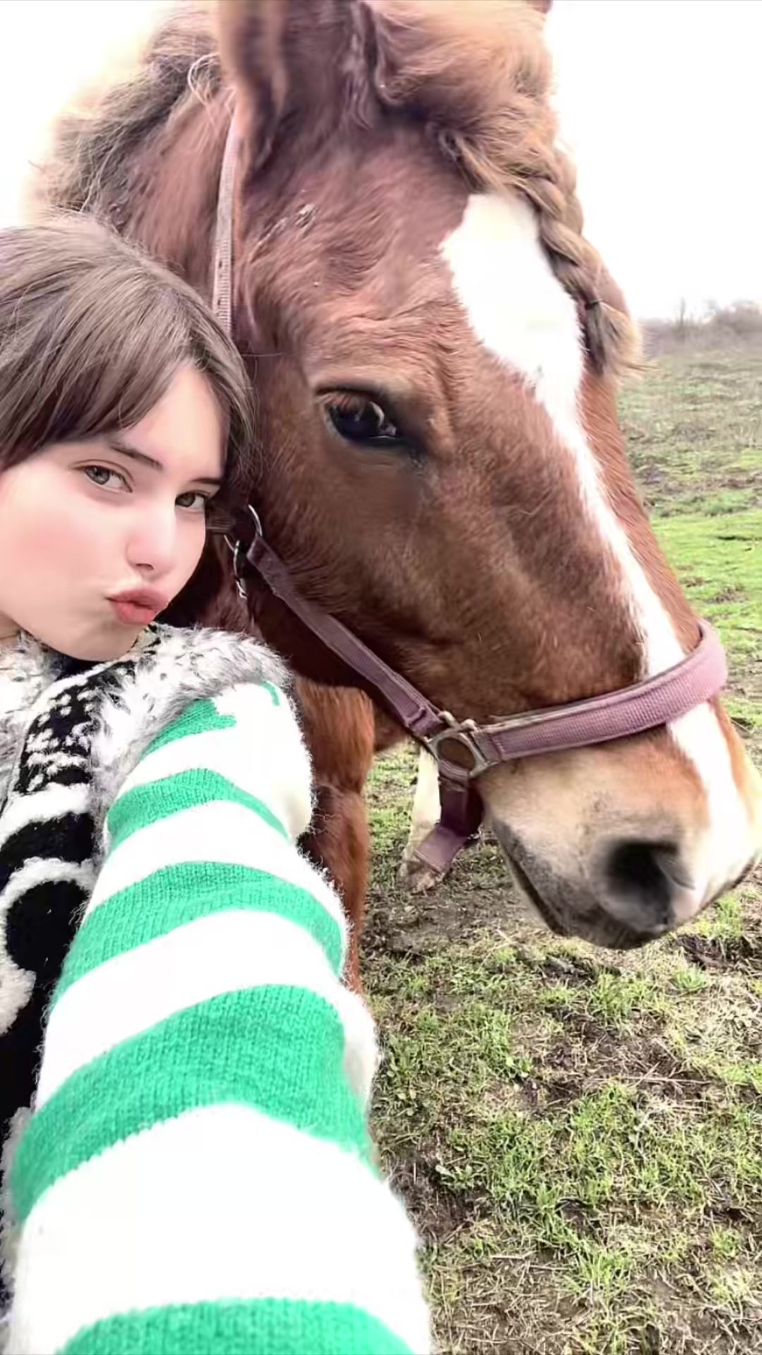 @Миэль🌺