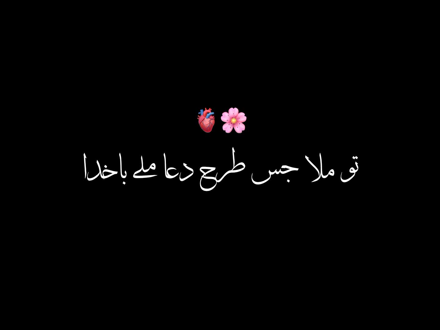 @𝙀𝙙𝙞𝙩 𝙗𝙮 𝘾𝙝𝙪𝙯𝙯𝙞