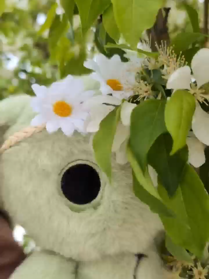 @Plushie Dreadfuls