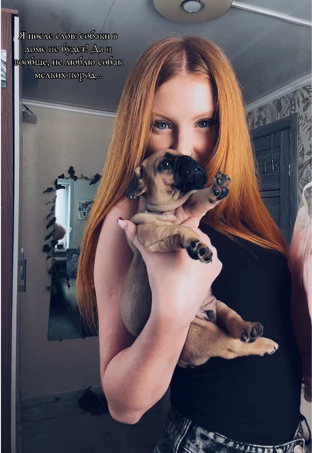 @Рыжик._.134🦊