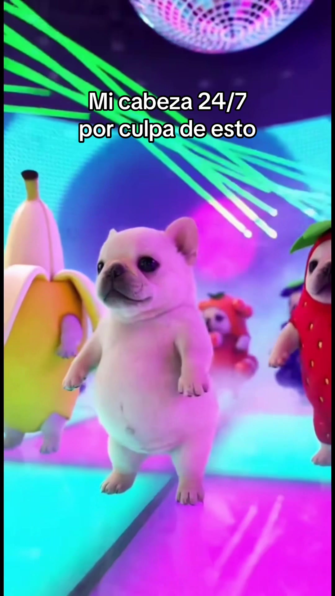 @Riko Corrons