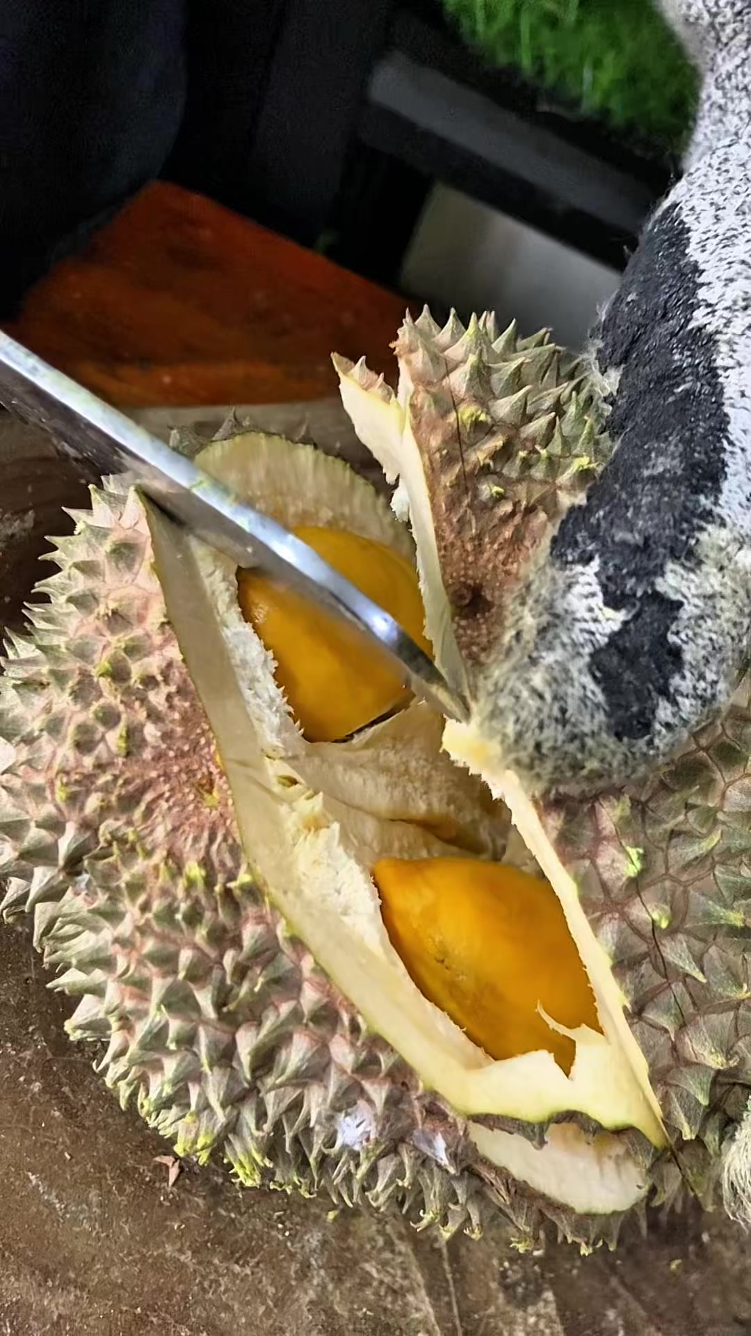 @Cicip Durian