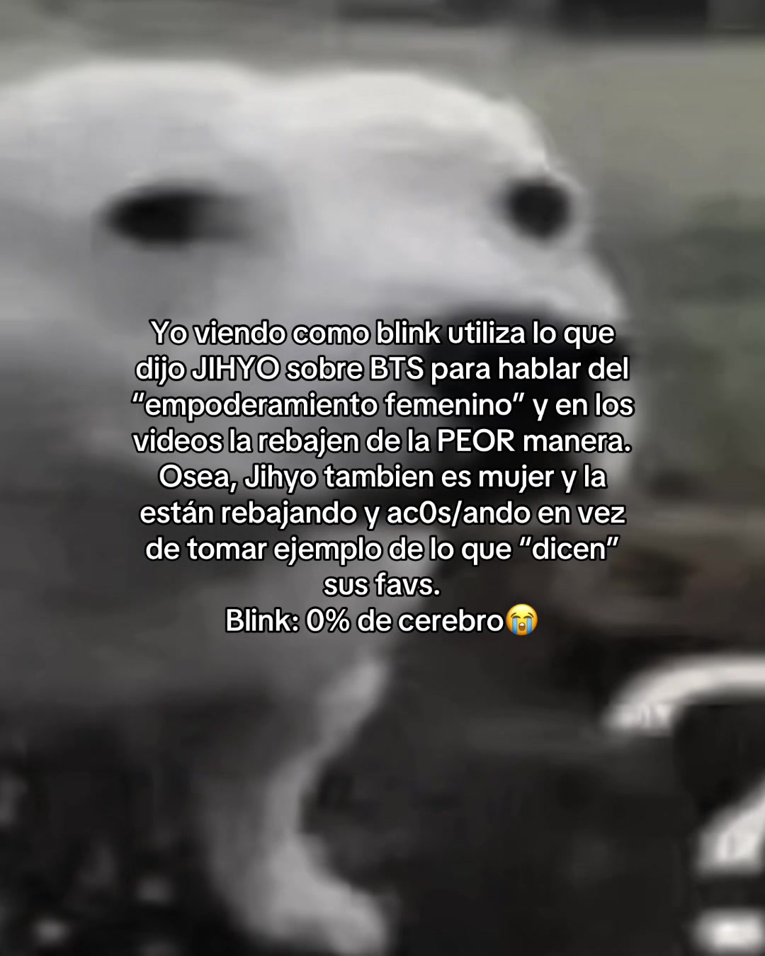 @โ โ๐๐๐๐๐๐โนโถ