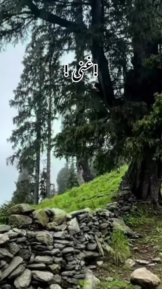 @ssiraj