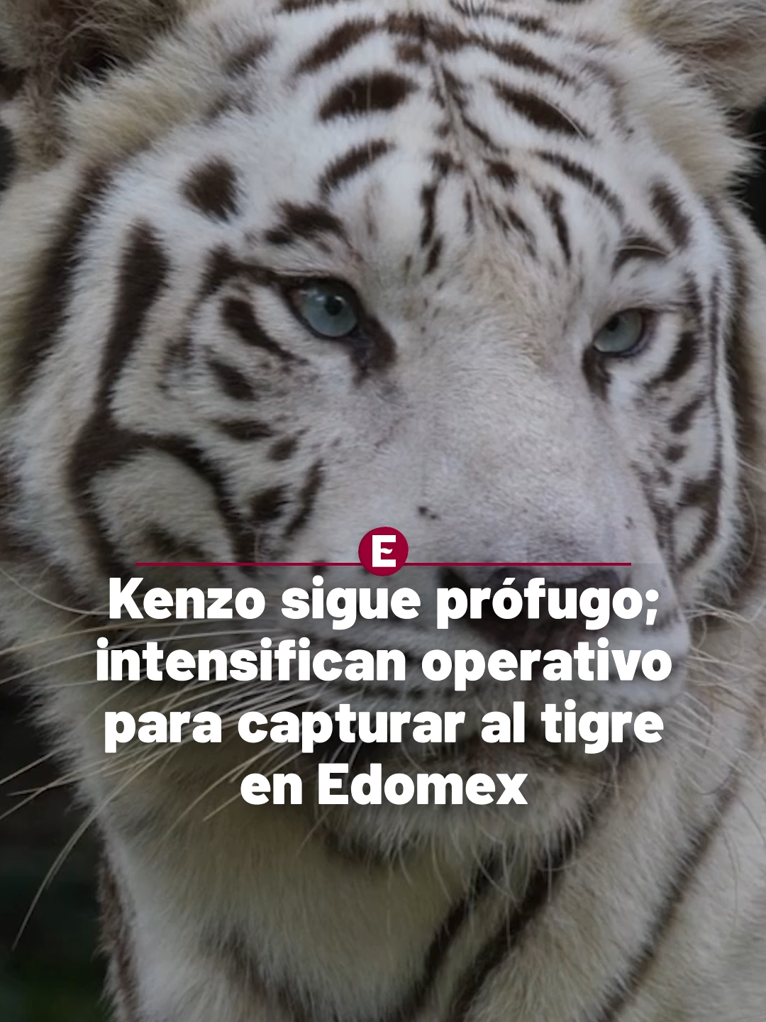 @Peri&oacute;dico Exc&eacute;lsior