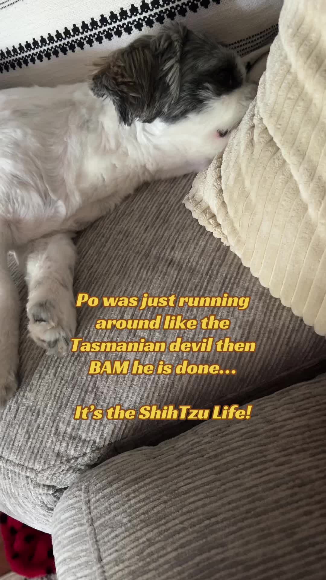 @bonnie_is_here