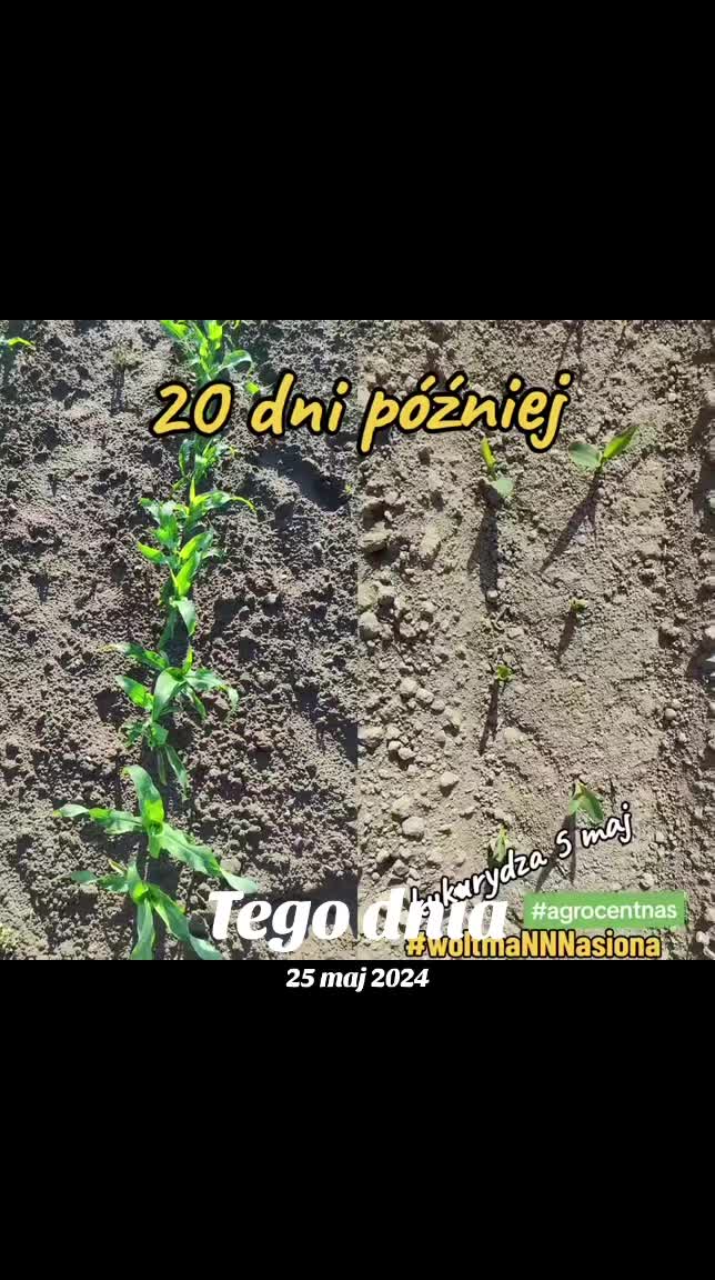 @WOLTMANNNASIONA