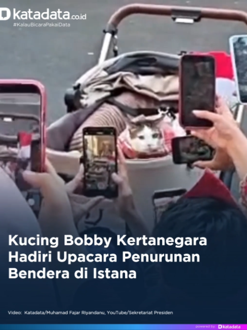 @katadata.co.id