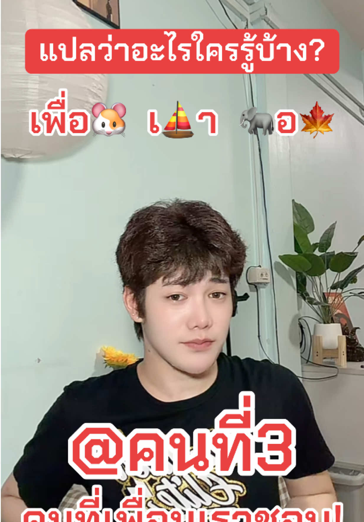 @✨แผ่นฟิล์ม✨