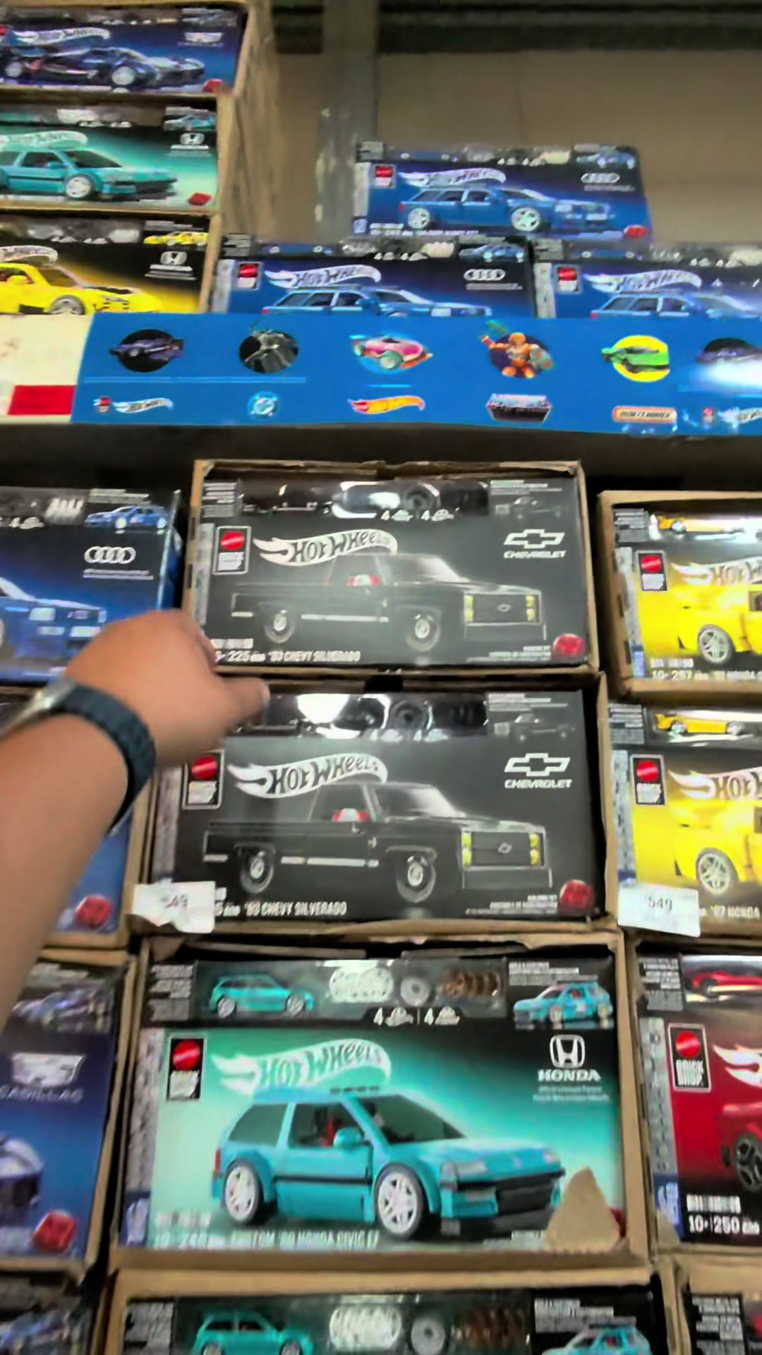 @DardoCollector