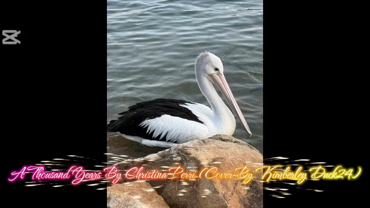 @Kimberley Duck24