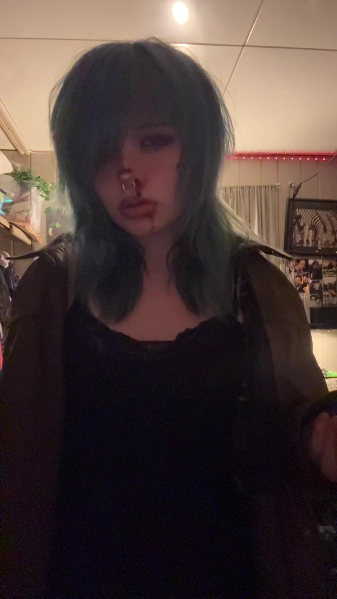 @🐾