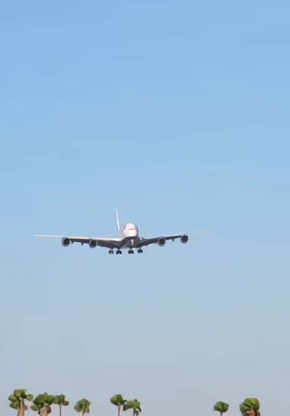 @Airplane Lover