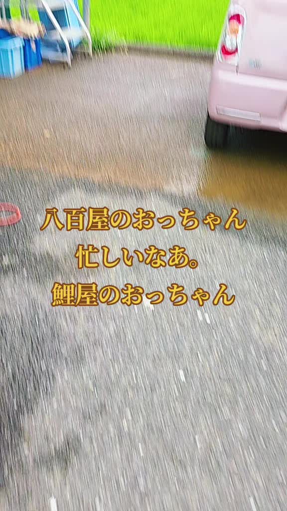 @零🇯🇵🌸零戦一番機🌸🇯🇵
