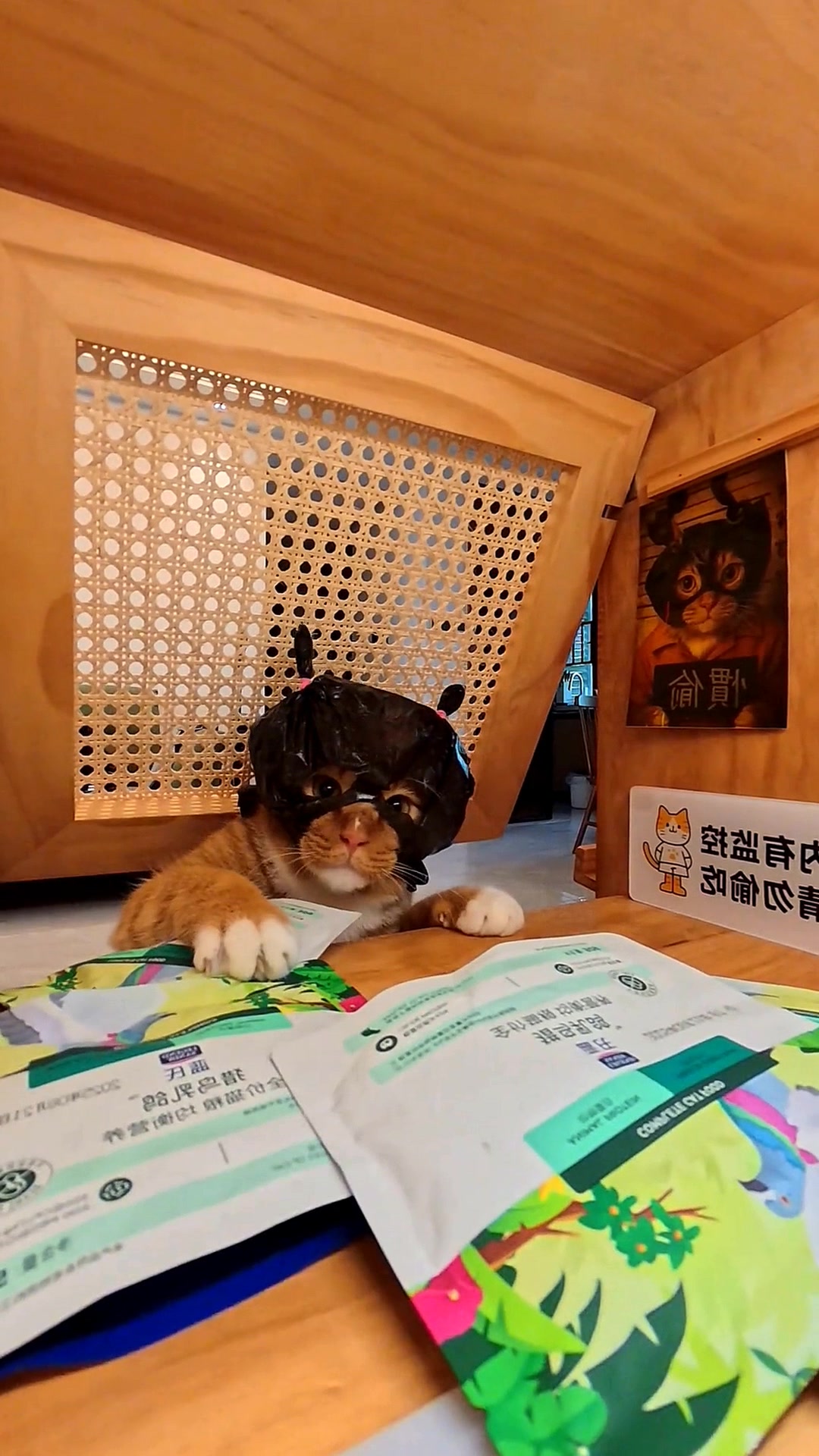 @Jijmeowl