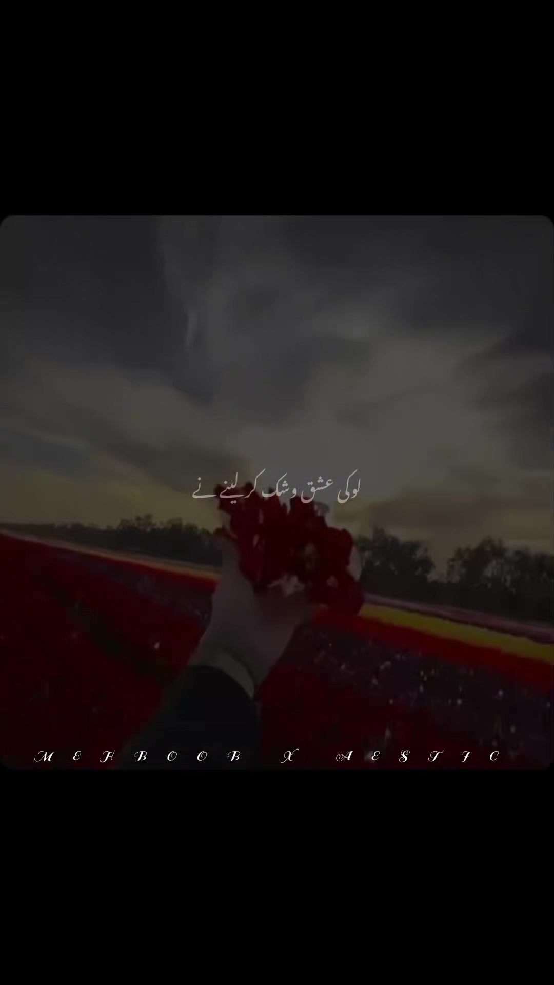 @𝙈𝙀𝙃𝘽𝙊𝙊𝘽 𝘼𝙀𝙎𝙏𝙄𝘾/-