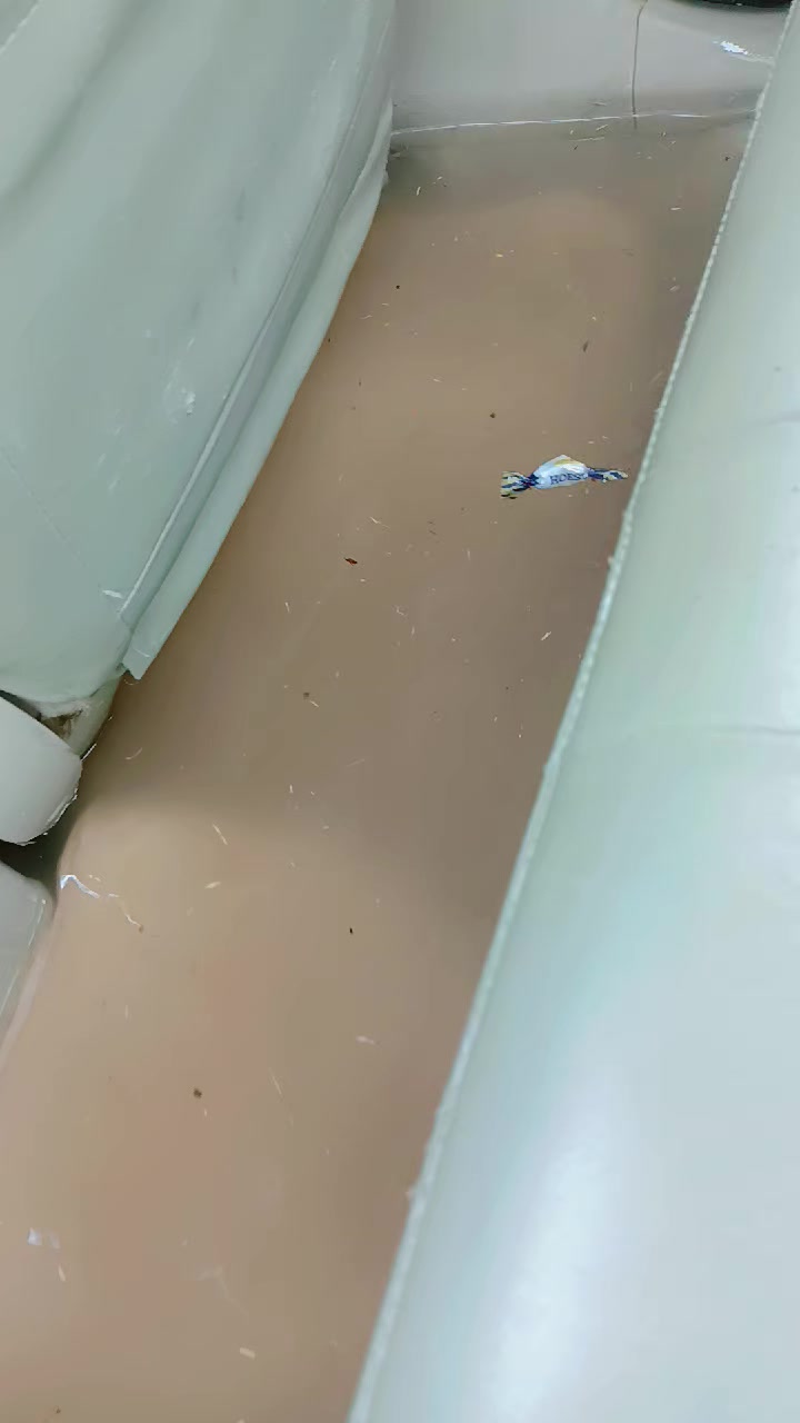 @𝑺𝒊𝒏𝒈𝒆𝒓 𝑺𝒂𝒎🦋