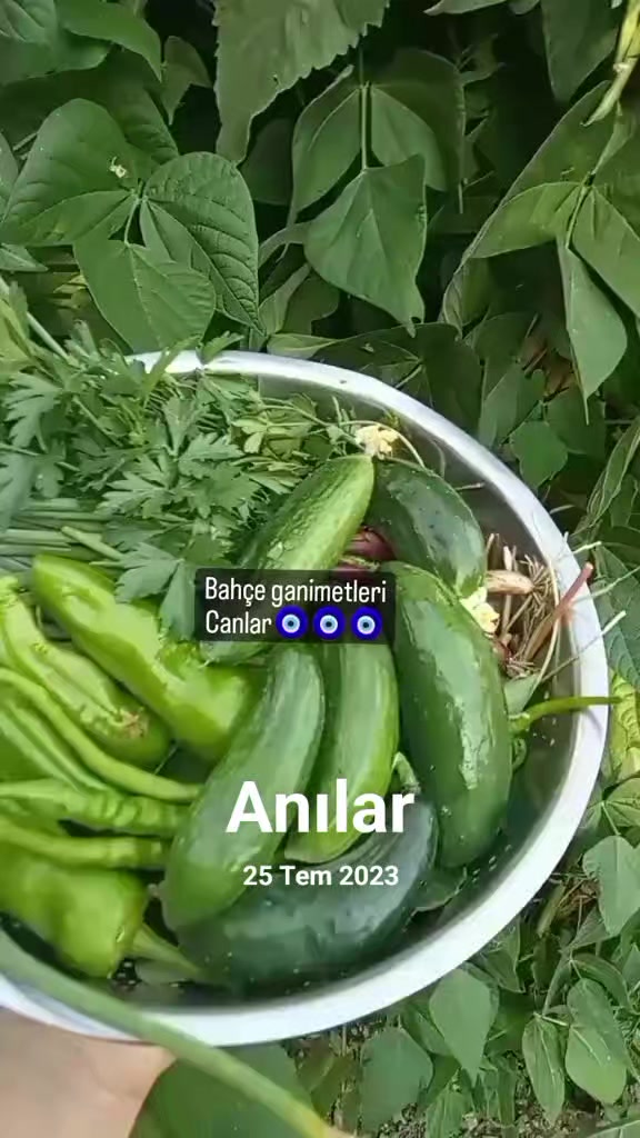 @&ouml;zlem g&uuml;ler