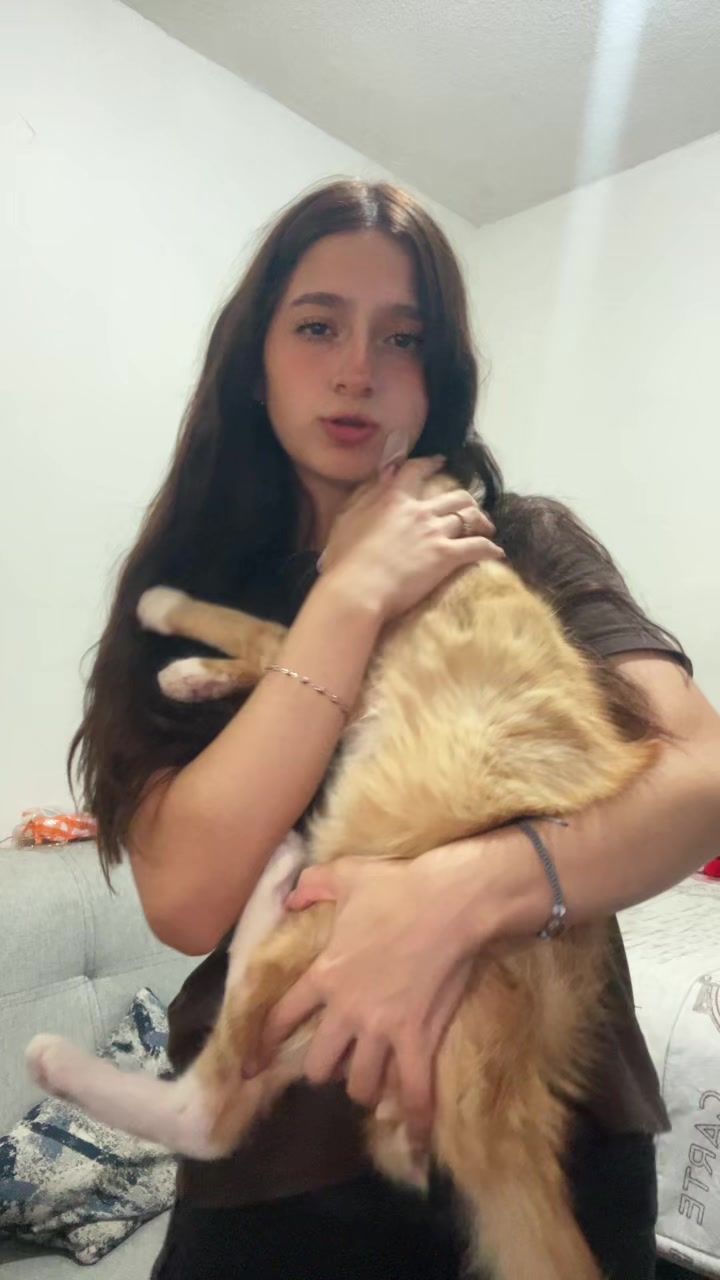 @yai.__