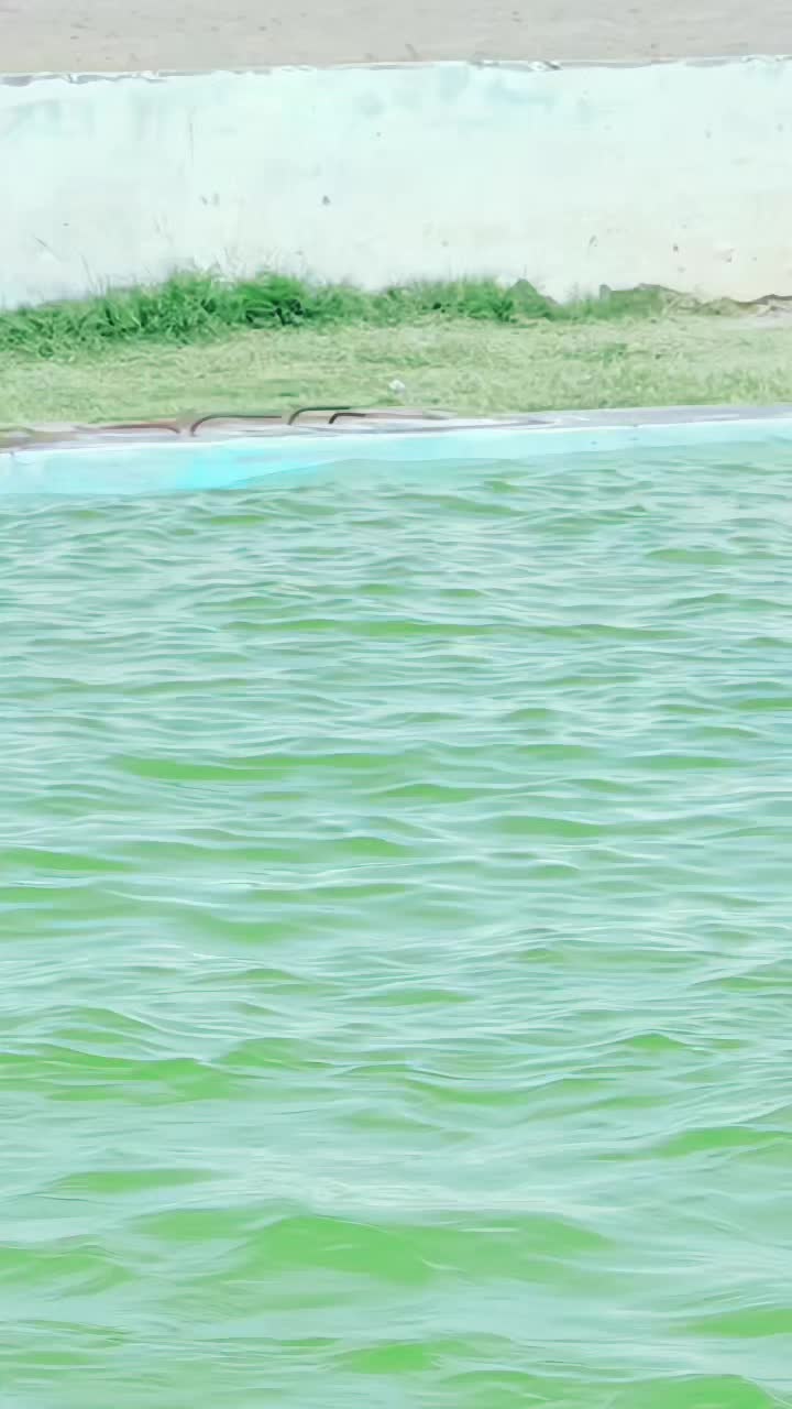 @𓂀 👿ℙ𝕋𝕄 ℂ𝕆𝕄ℝ𝔸𝔻𝔼👿 𓂀