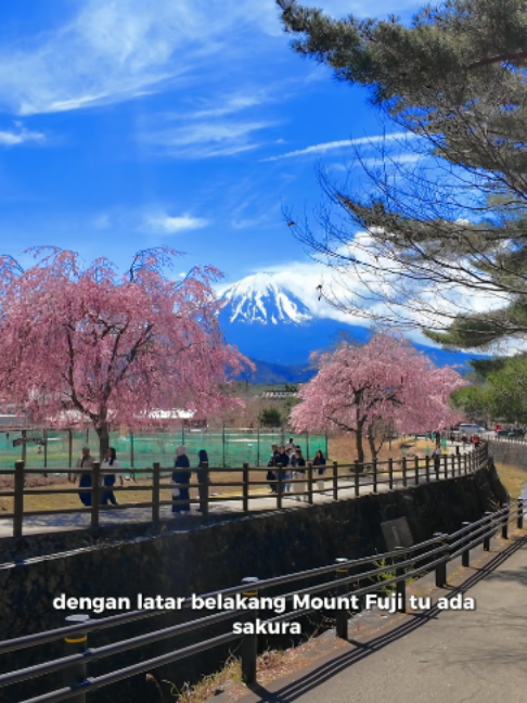 @Yamada | 1-Day Trip To Fuji