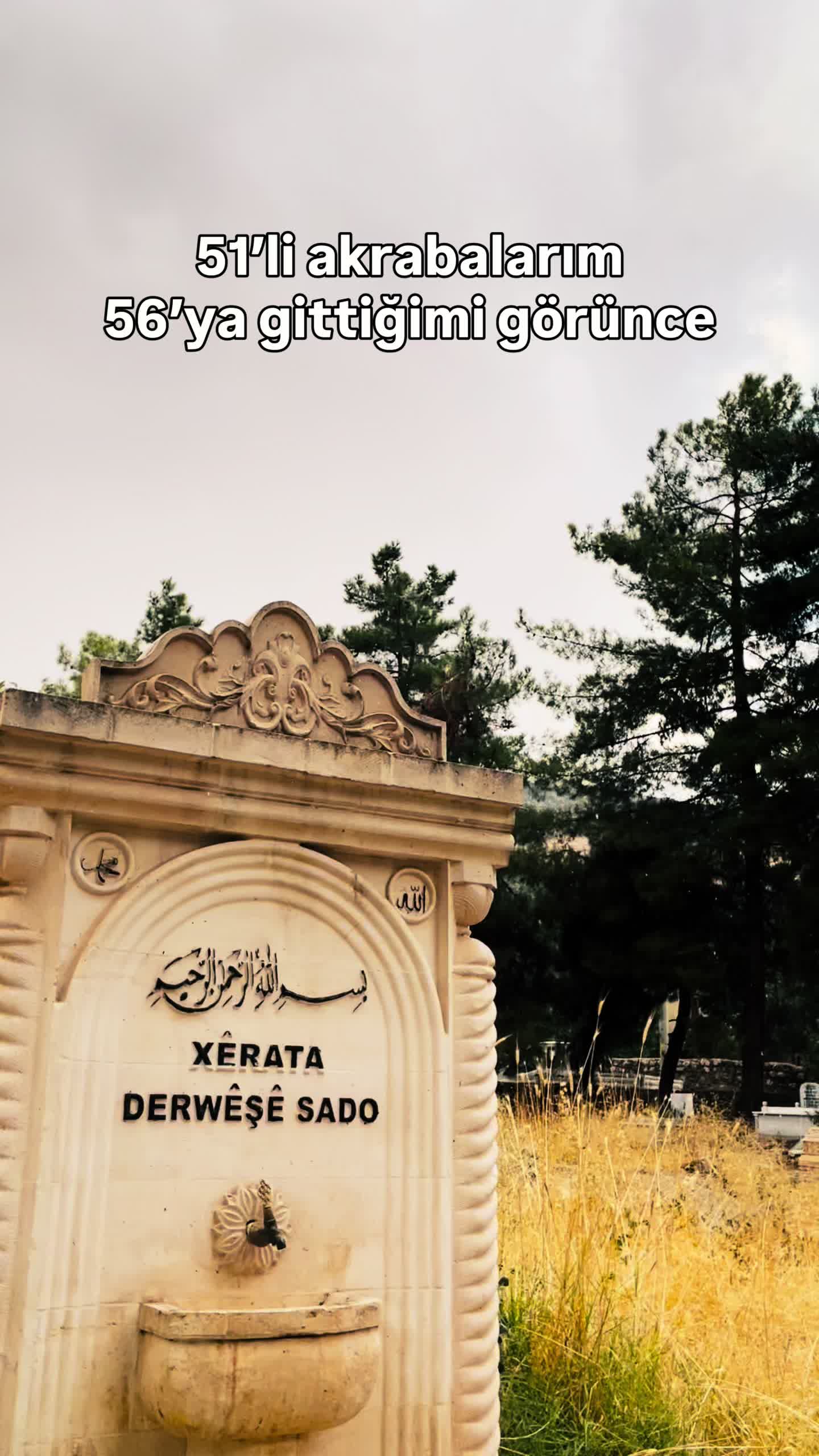 @Feride Altaş