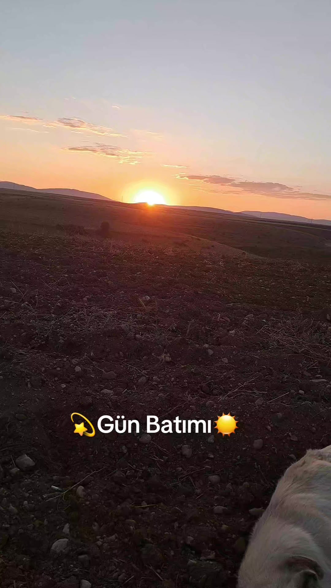 @🍀EFENDİ YILDIRIM🍀
