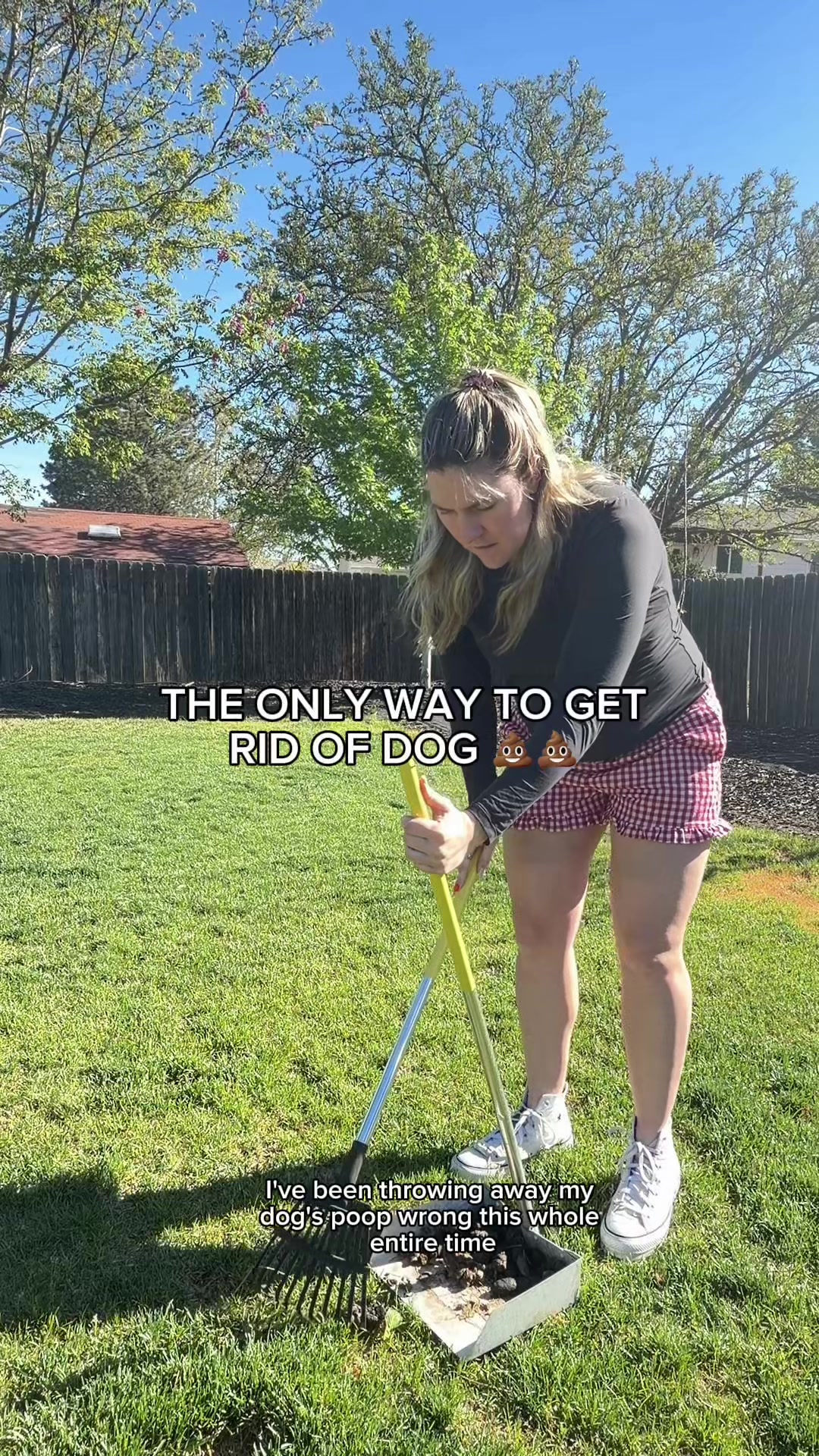 @The Z Cattle Dogs