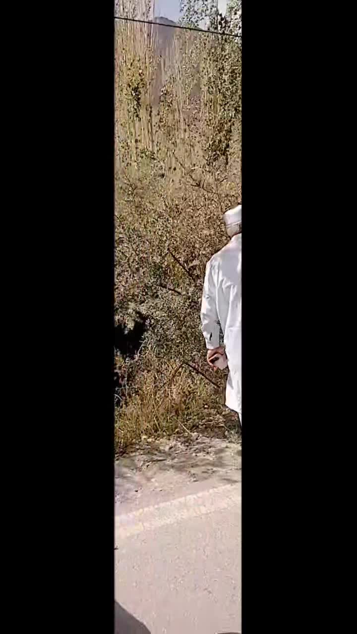 @Shabbi Maan