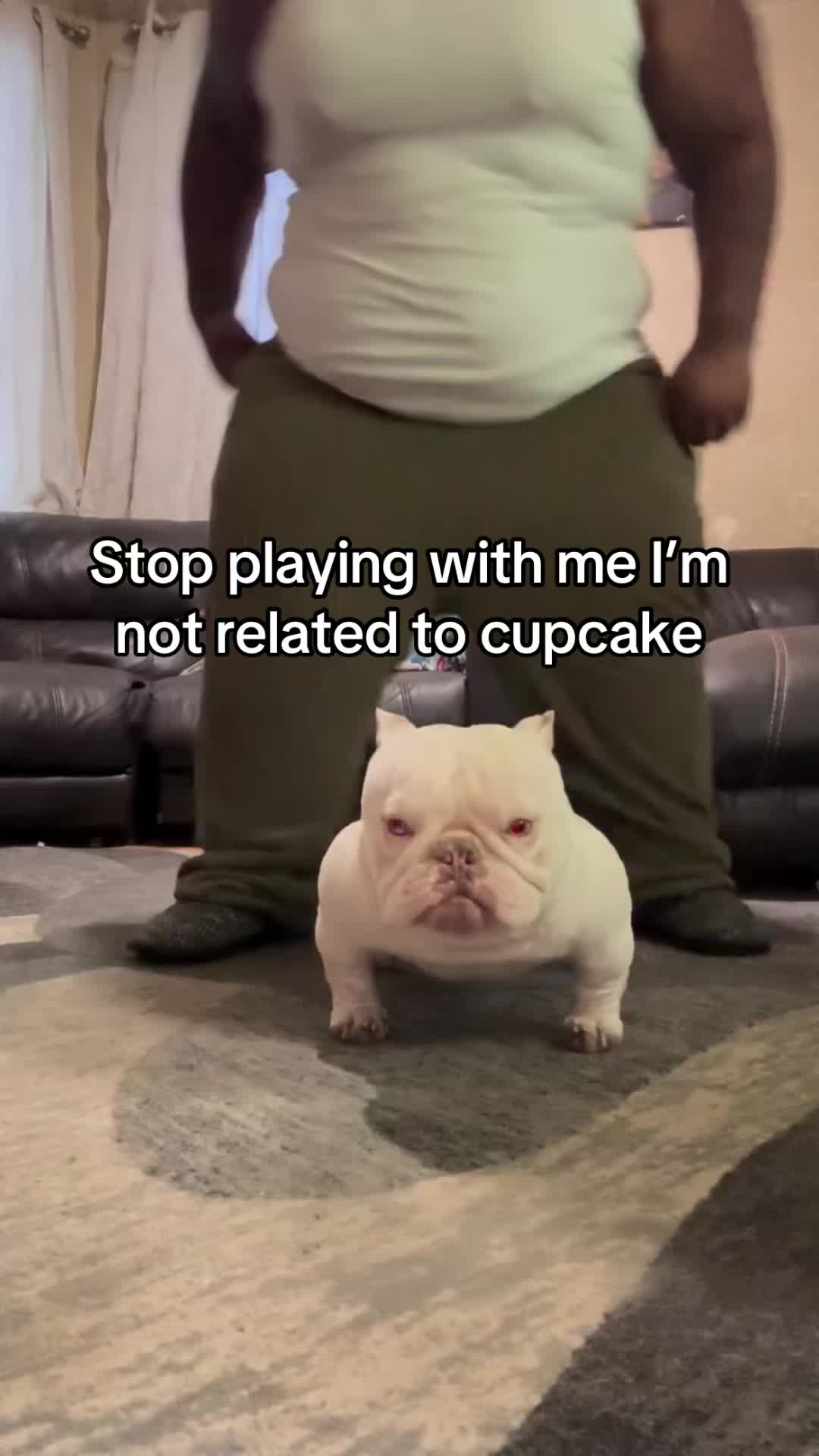 @wegetpaidregardless