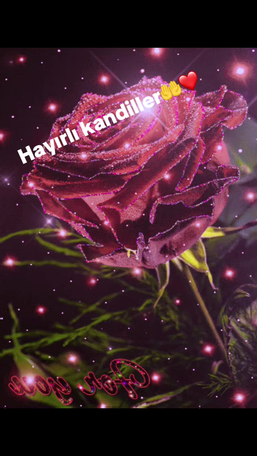@(((___🌹🧿&hearts;️___))