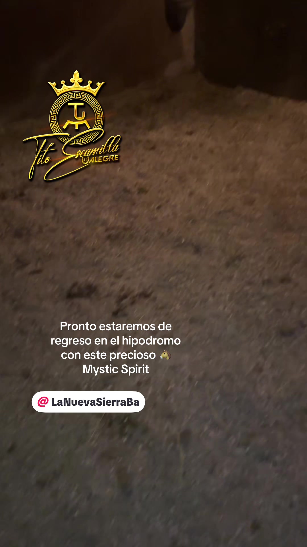@Tito escamilla El Alegre