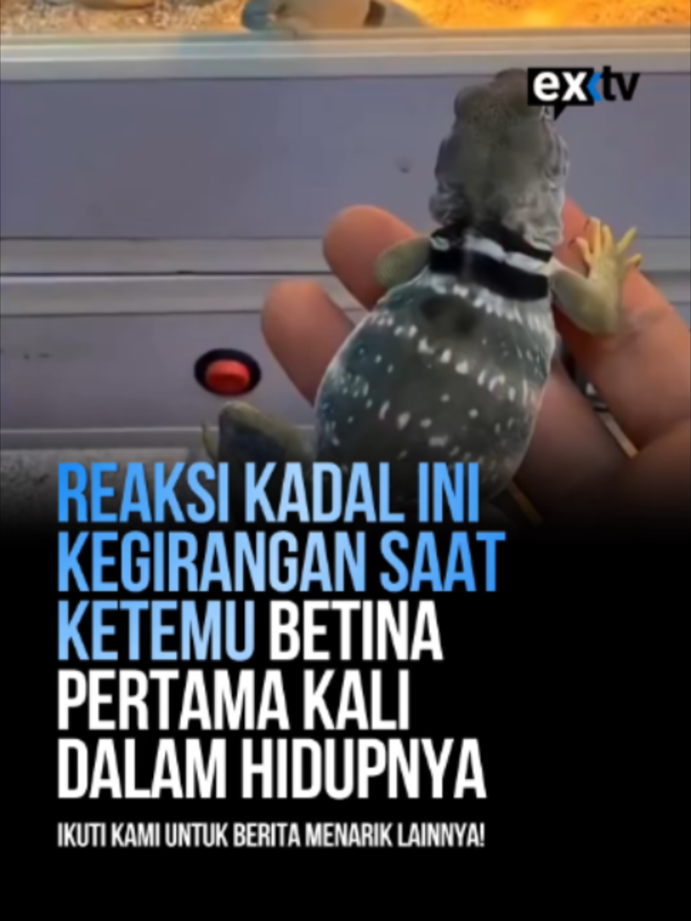 @Expressi Media