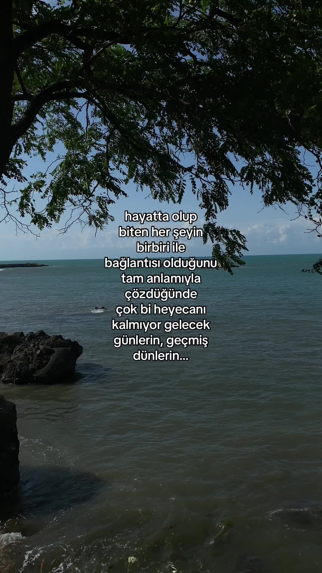 @𝓔 ᥫ᭡ 𝓐