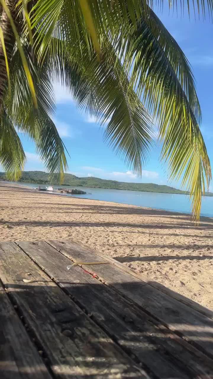 @GG Gonzalez❌🇵🇷🇨🇺♉️🤘🏽